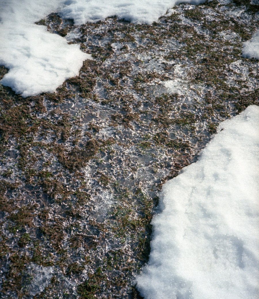 Philippe Durand - Neiges