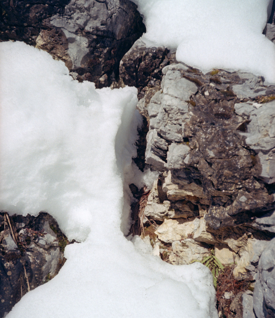 Philippe Durand - Neiges