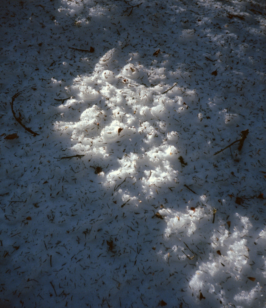 Philippe Durand - Neiges