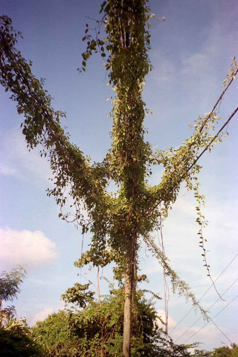 Philippe Durand - Offshore