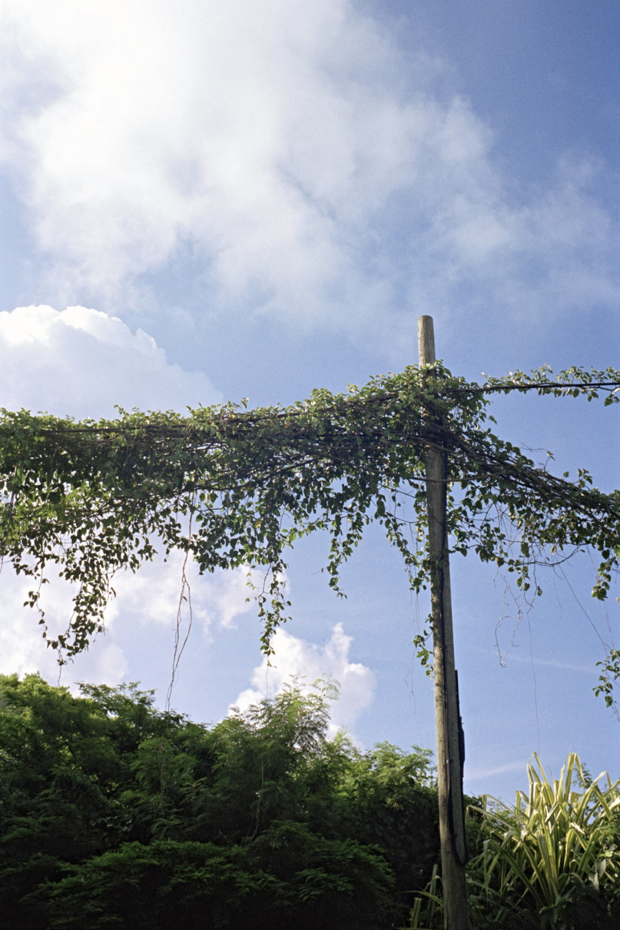 Philippe Durand - Offshore