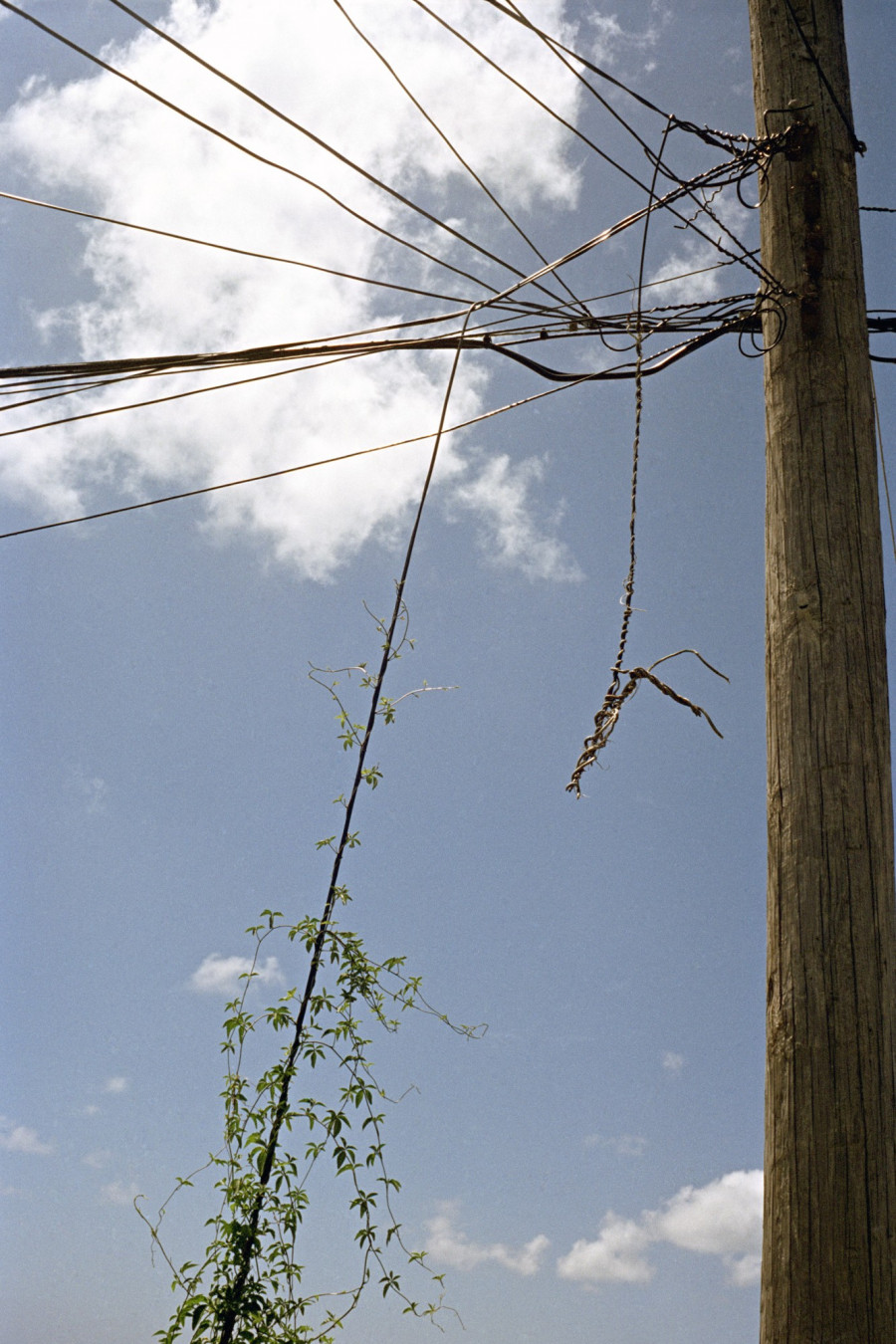 Philippe Durand - Offshore