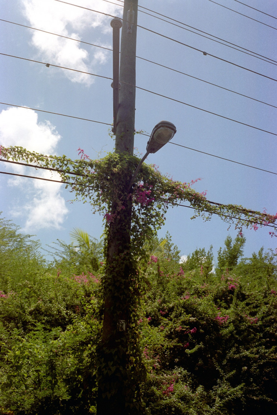 Philippe Durand - Offshore