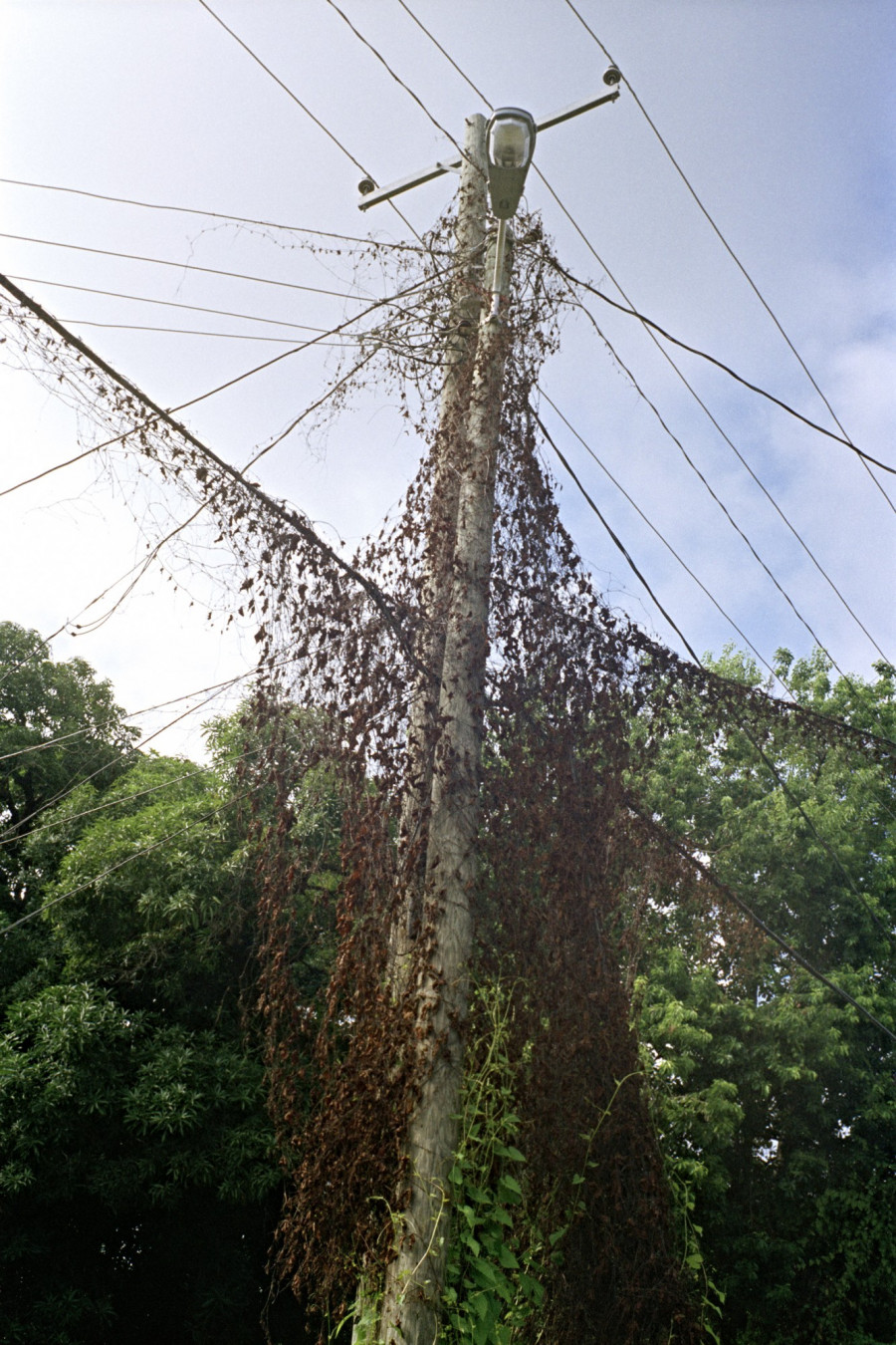 Philippe Durand - Offshore