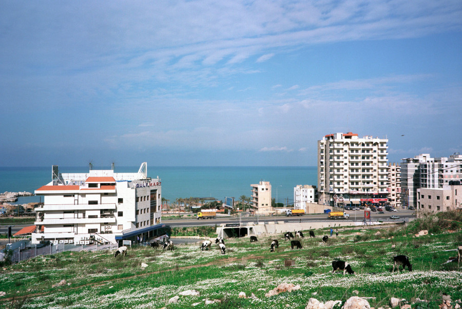 Philippe Durand - Phoenician Billboards