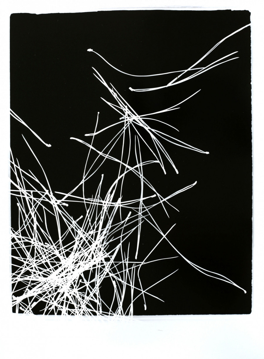 Philippe Durand - Pin Pignon