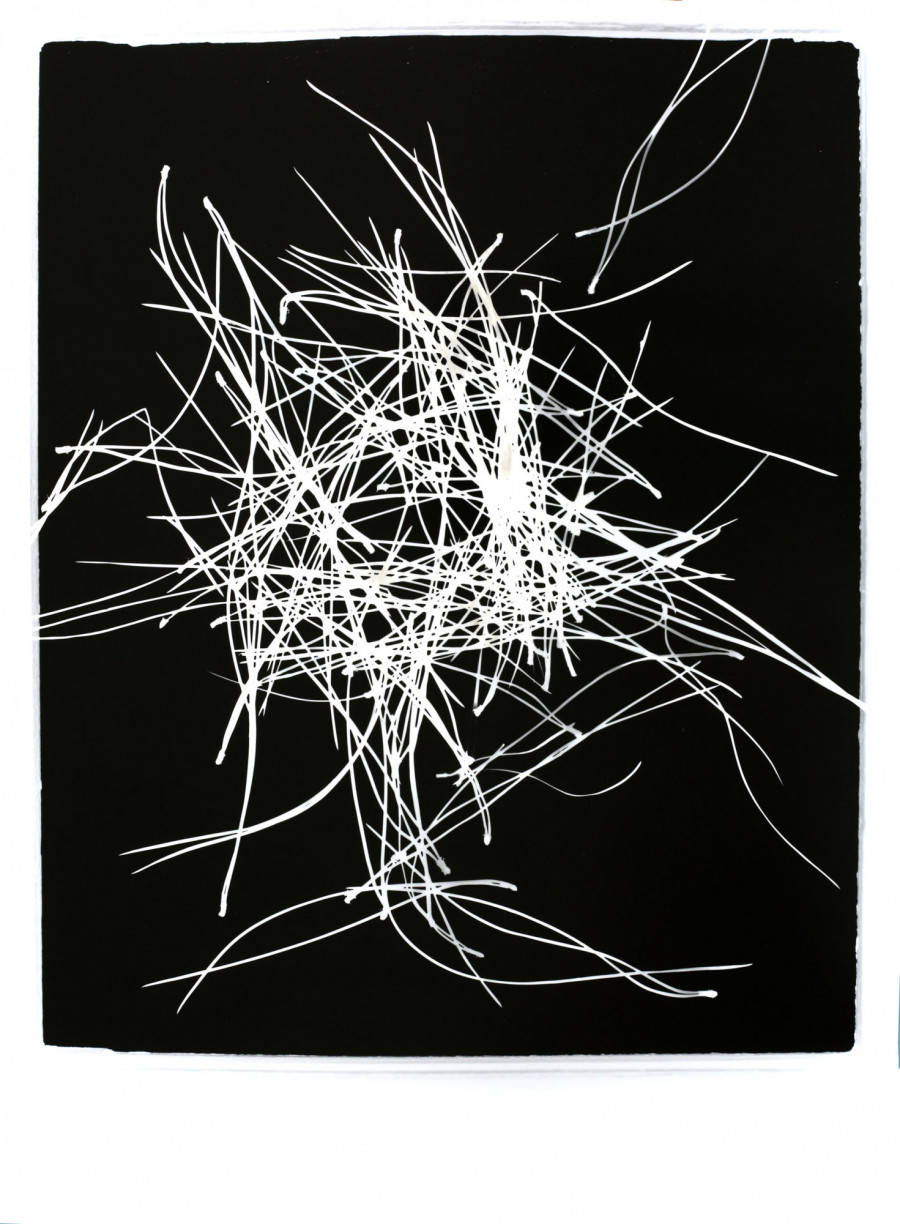 Philippe Durand - Pin Pignon