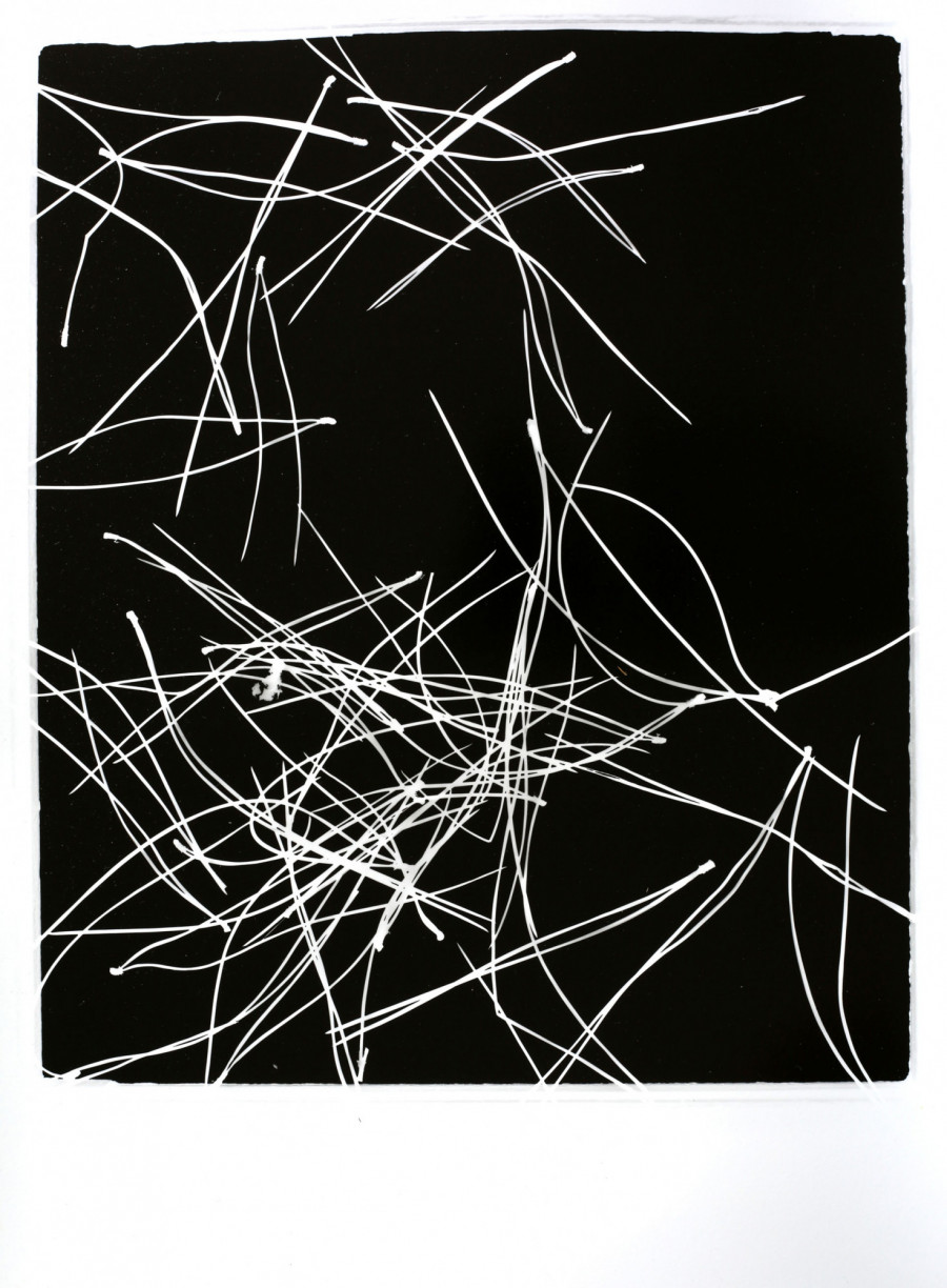 Philippe Durand - Pin Pignon