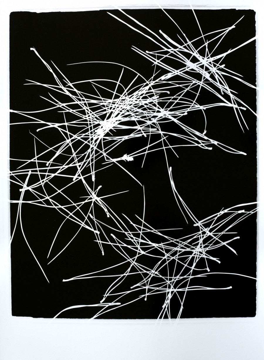 Philippe Durand - Pin Pignon