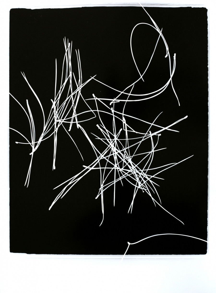 Philippe Durand - Pin Pignon