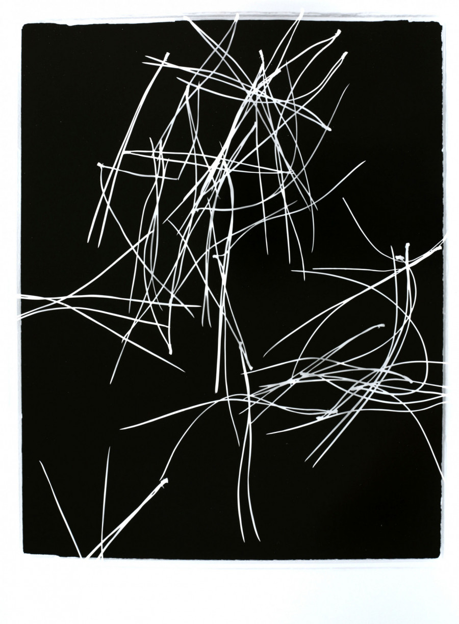 Philippe Durand - Pin Pignon