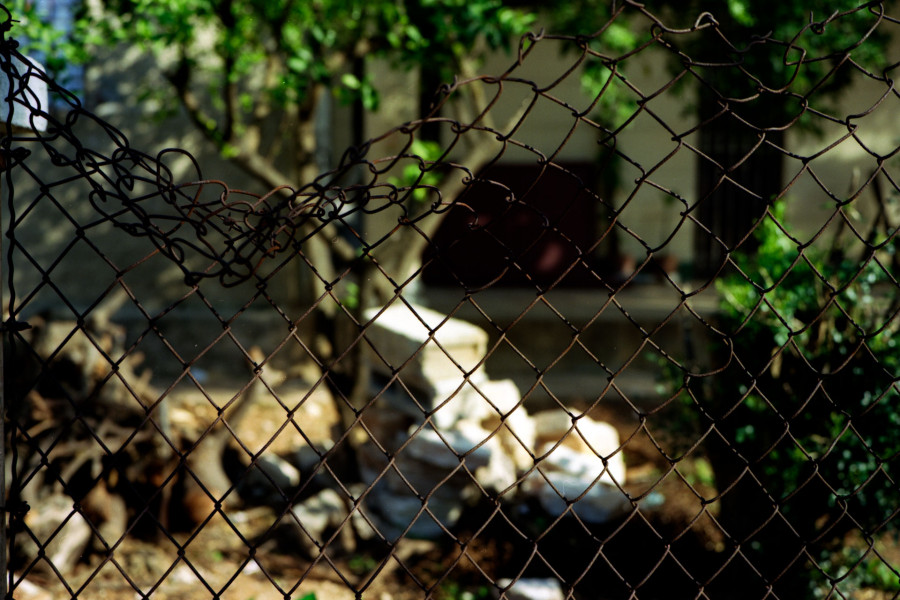 Philippe Durand - Rejas