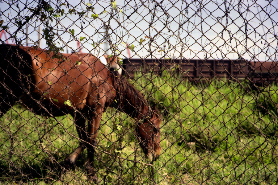 Philippe Durand - Rejas