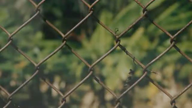 Philippe Durand - Rejas