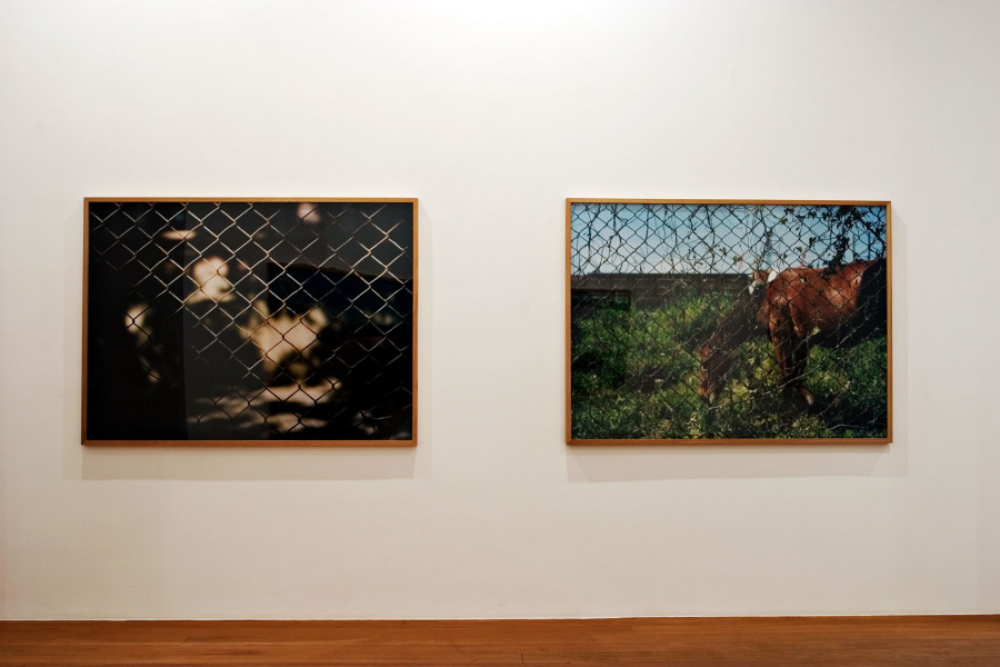 Philippe Durand - Rejas