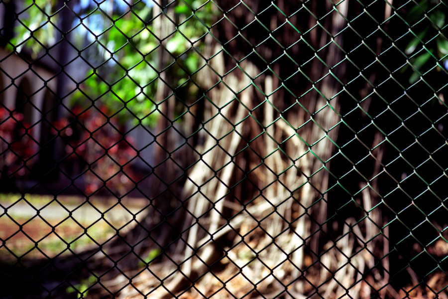 Philippe Durand - Rejas