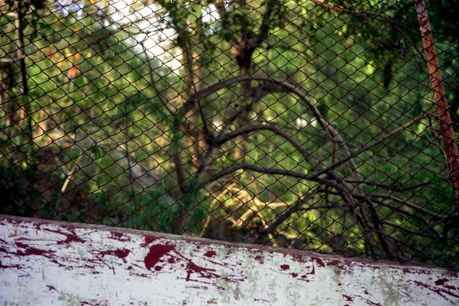 Philippe Durand - Rejas