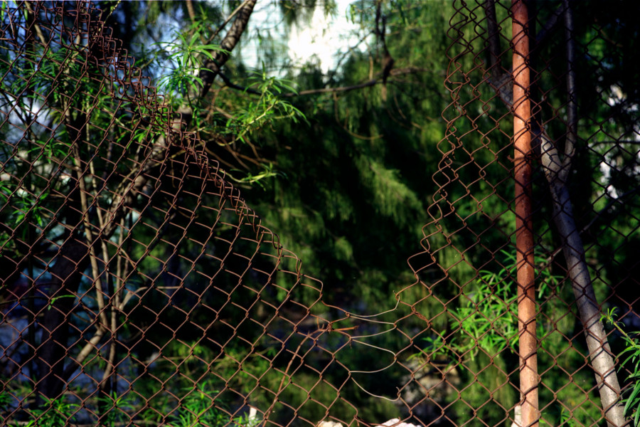 Philippe Durand - Rejas