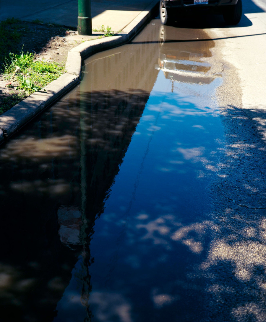 Philippe Durand - Rust And Flowers