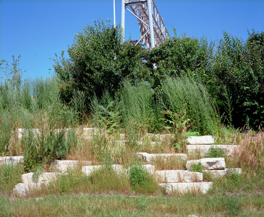 Philippe Durand - Rust And Flowers
