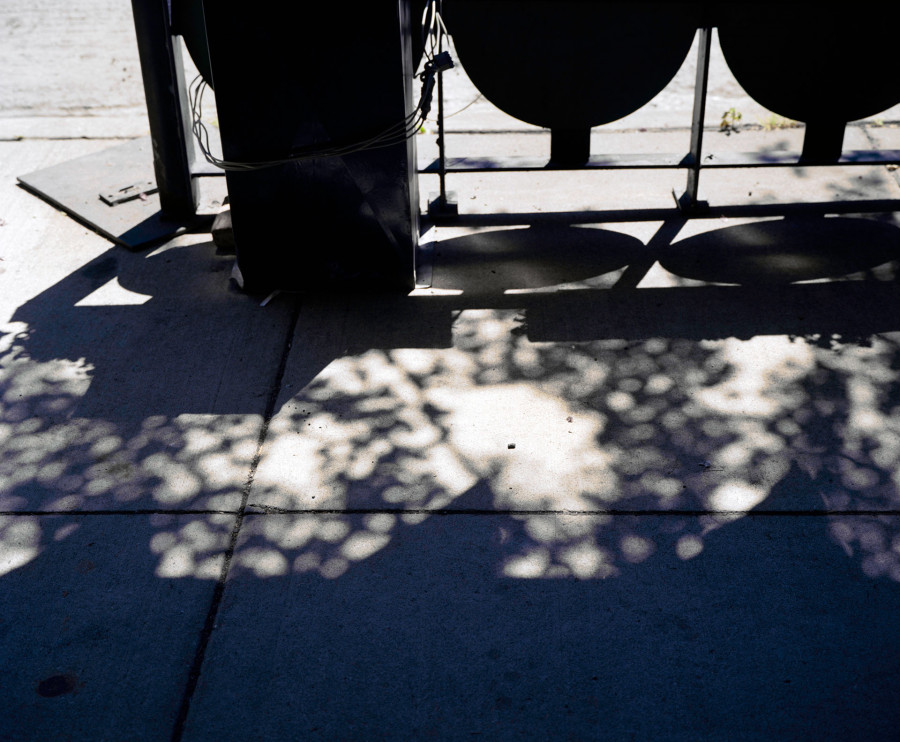 Philippe Durand - Rust And Flowers
