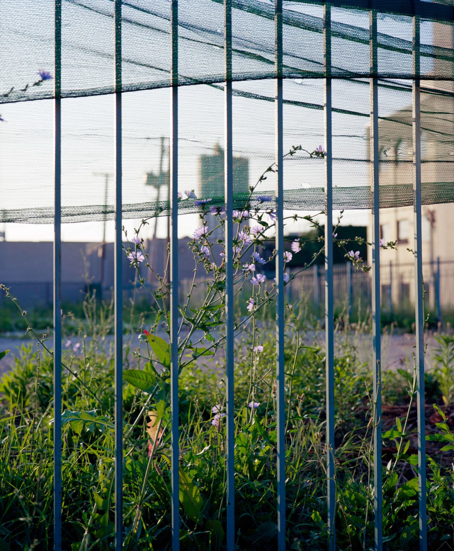 Philippe Durand - Rust And Flowers