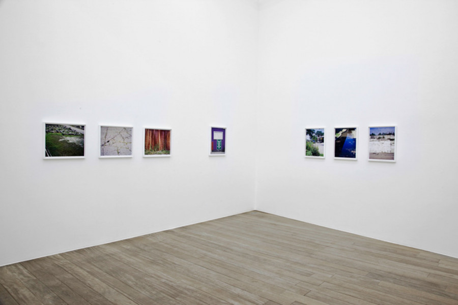 Philippe Durand - Rust And Flowers