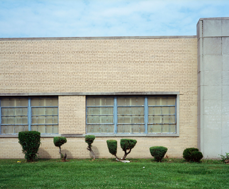 Philippe Durand - Rust And Flowers