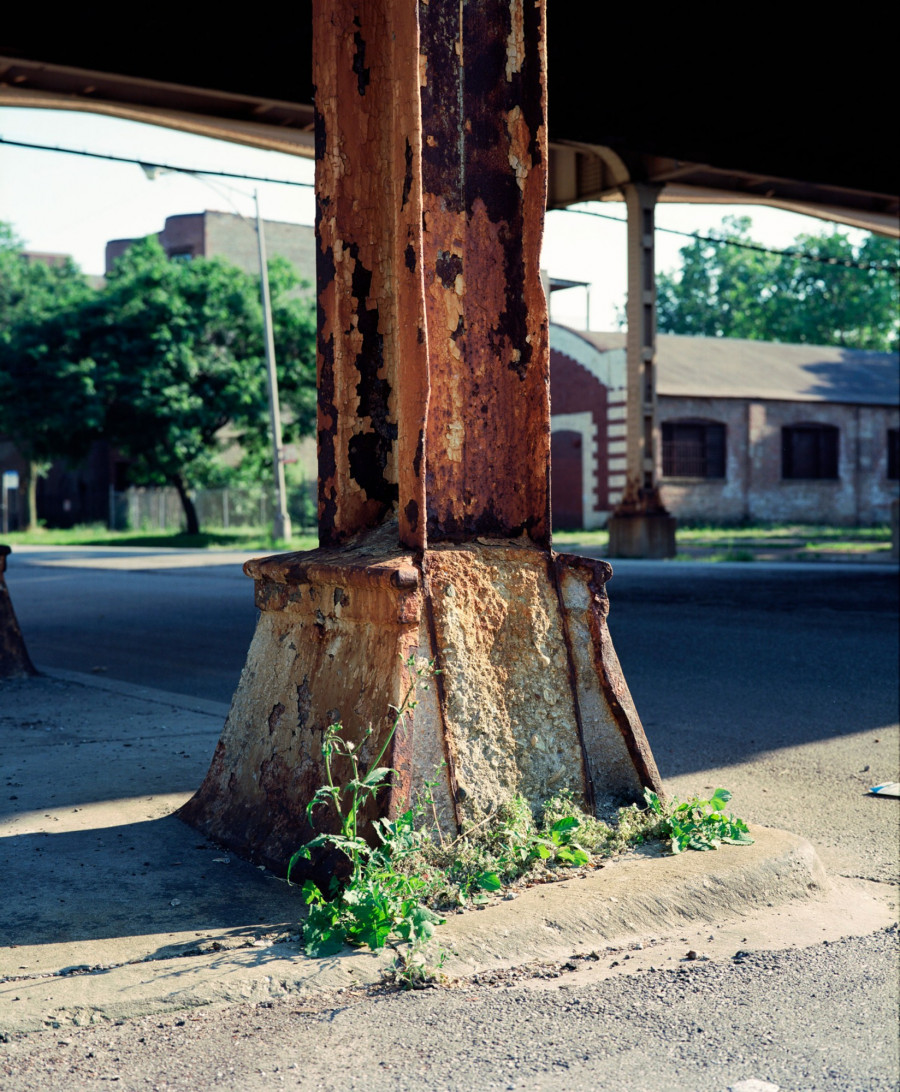 Philippe Durand - Rust And Flowers
