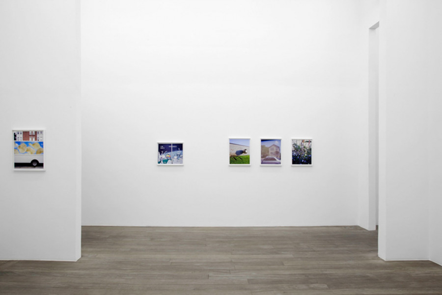 Philippe Durand - Rust And Flowers