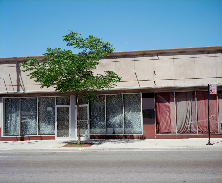Philippe Durand - Rust And Flowers