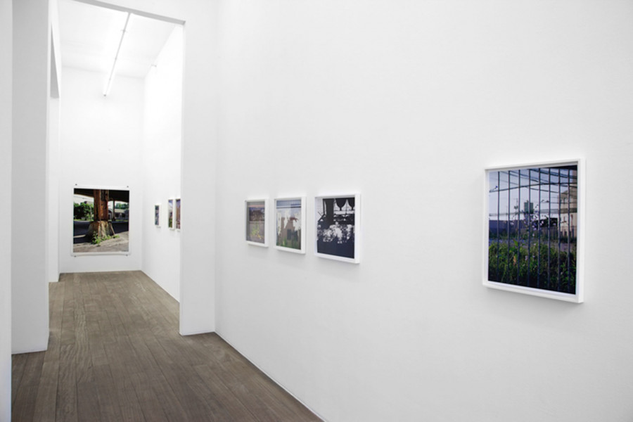 Philippe Durand - Rust And Flowers