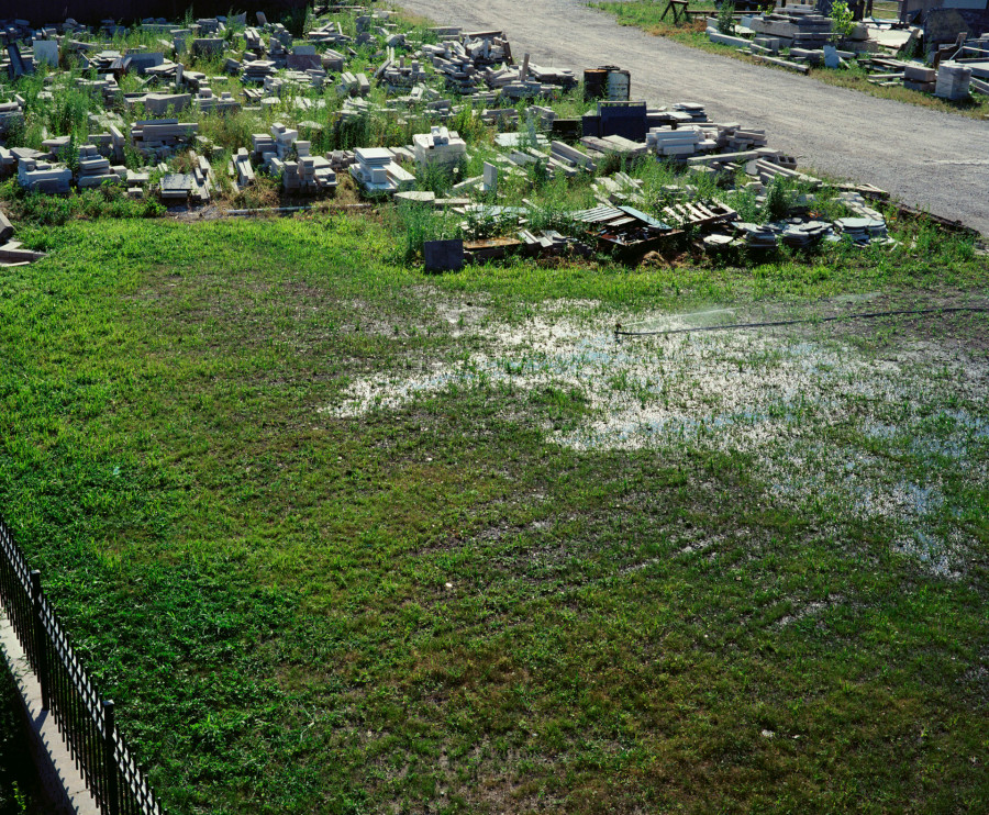 Philippe Durand - Rust And Flowers