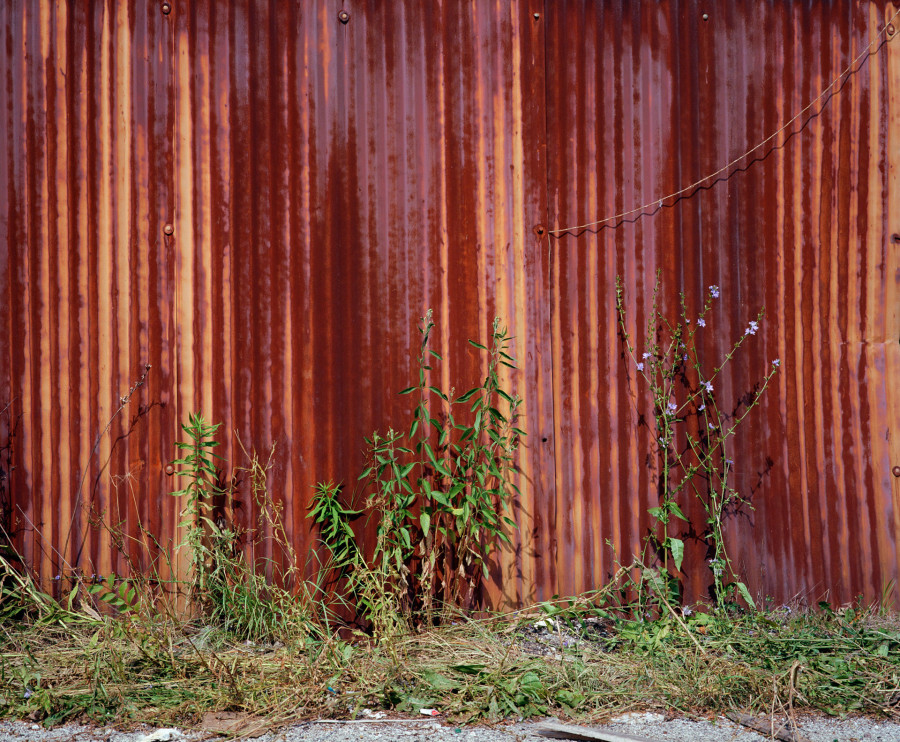 Philippe Durand - Rust And Flowers