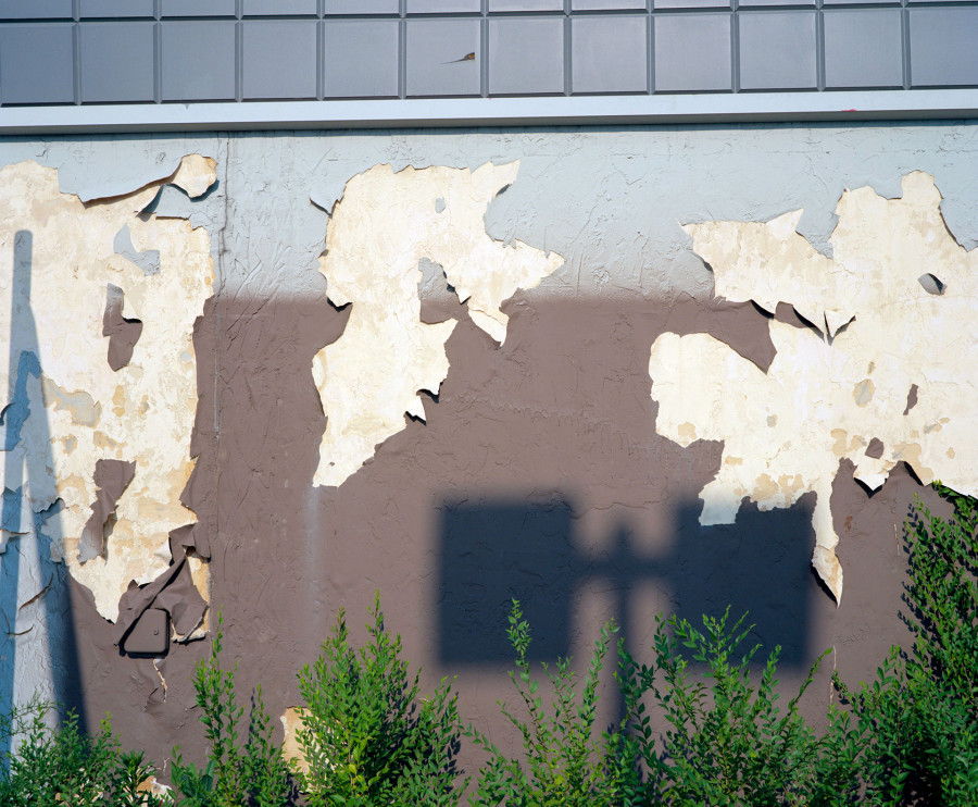 Philippe Durand - Rust And Flowers