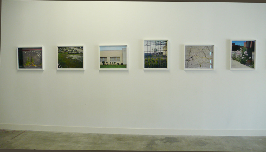 Philippe Durand - Rust And Flowers