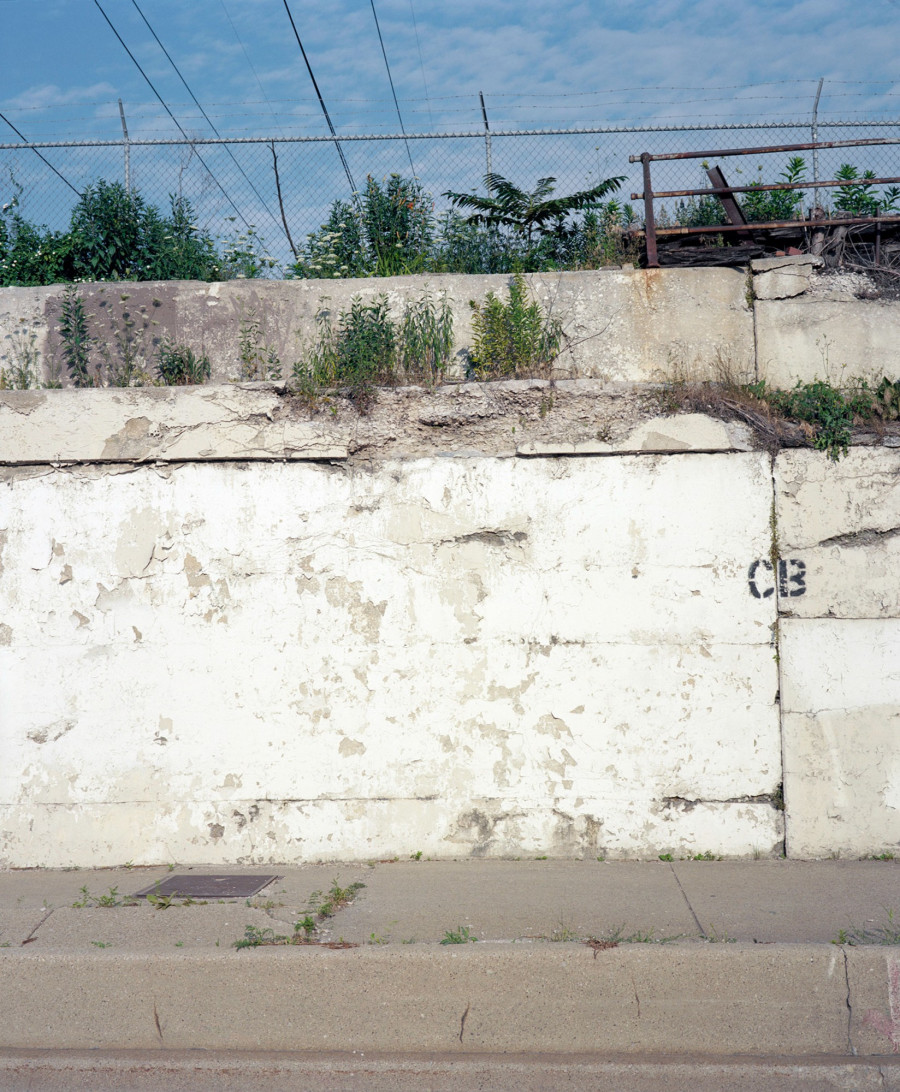 Philippe Durand - Rust And Flowers