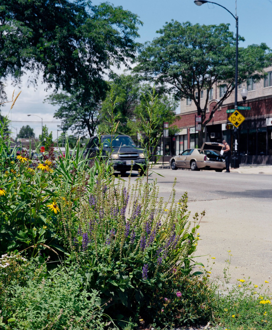 Philippe Durand - Rust And Flowers
