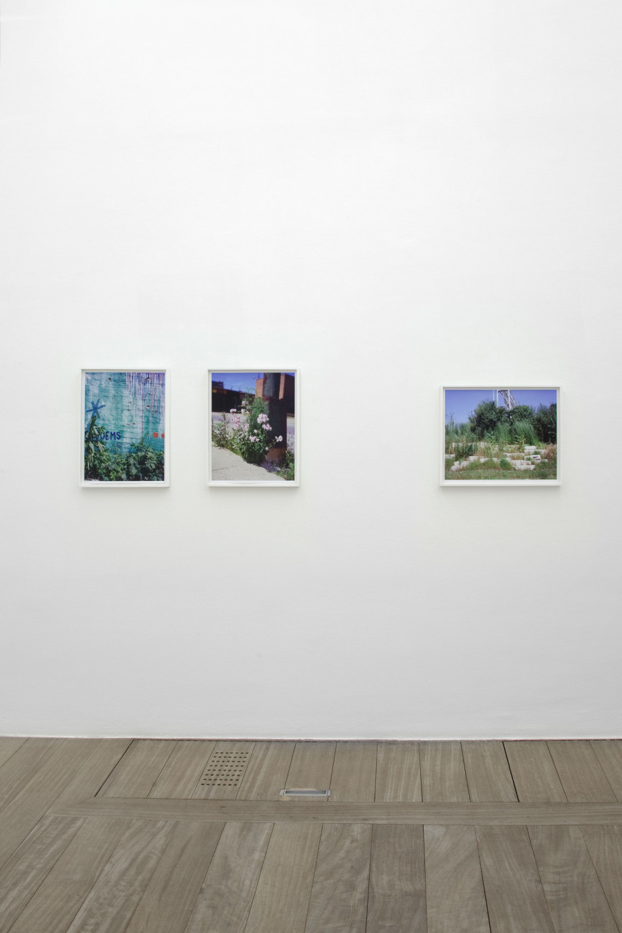 Philippe Durand - Rust And Flowers