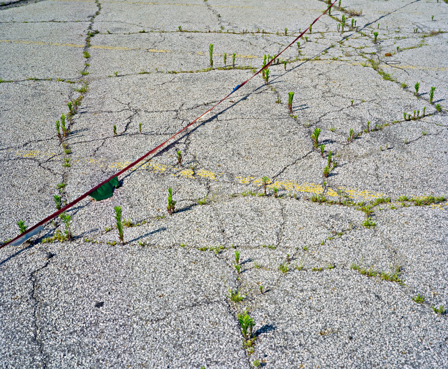 Philippe Durand - Rust And Flowers