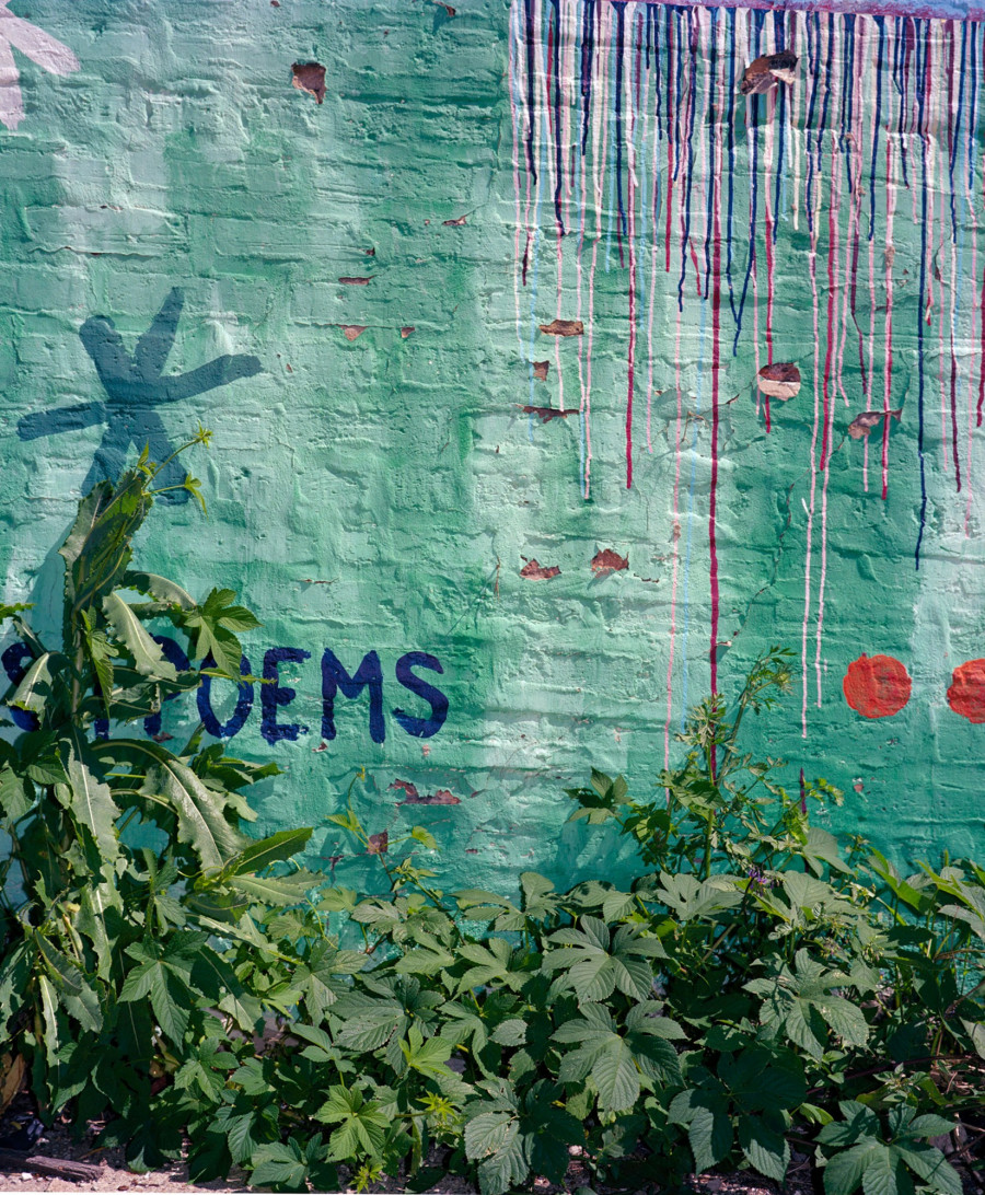 Philippe Durand - Rust And Flowers