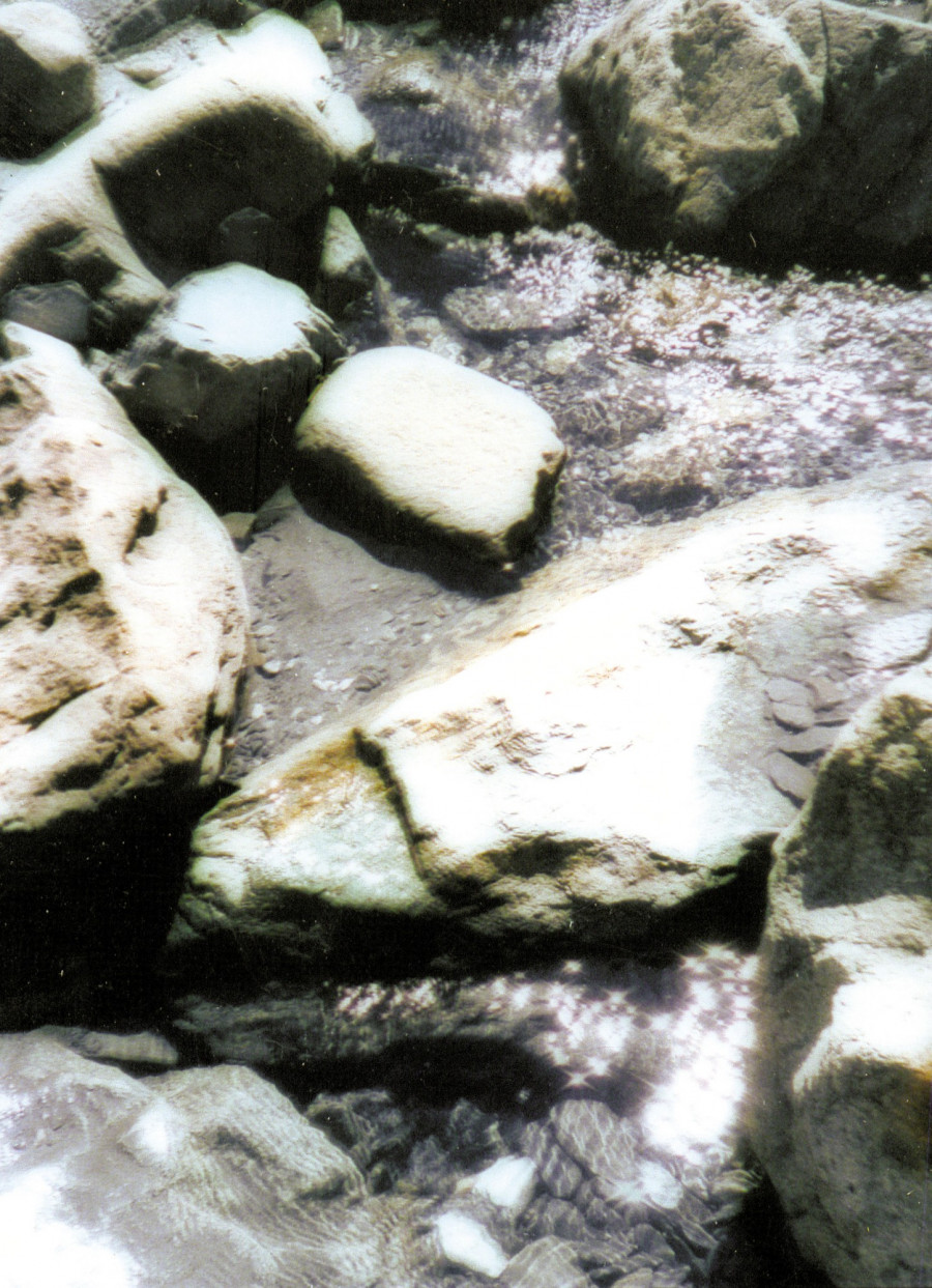 Philippe Durand - Sources