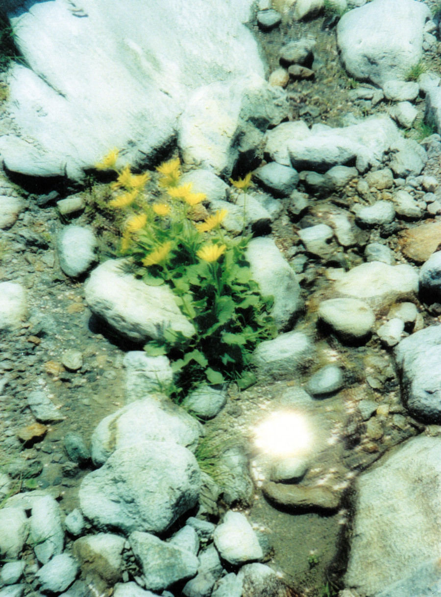 Philippe Durand - Sources