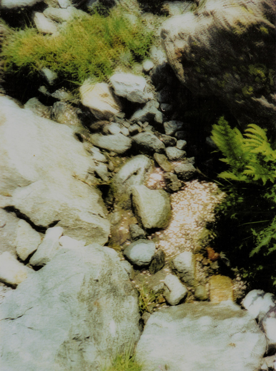 Philippe Durand - Sources