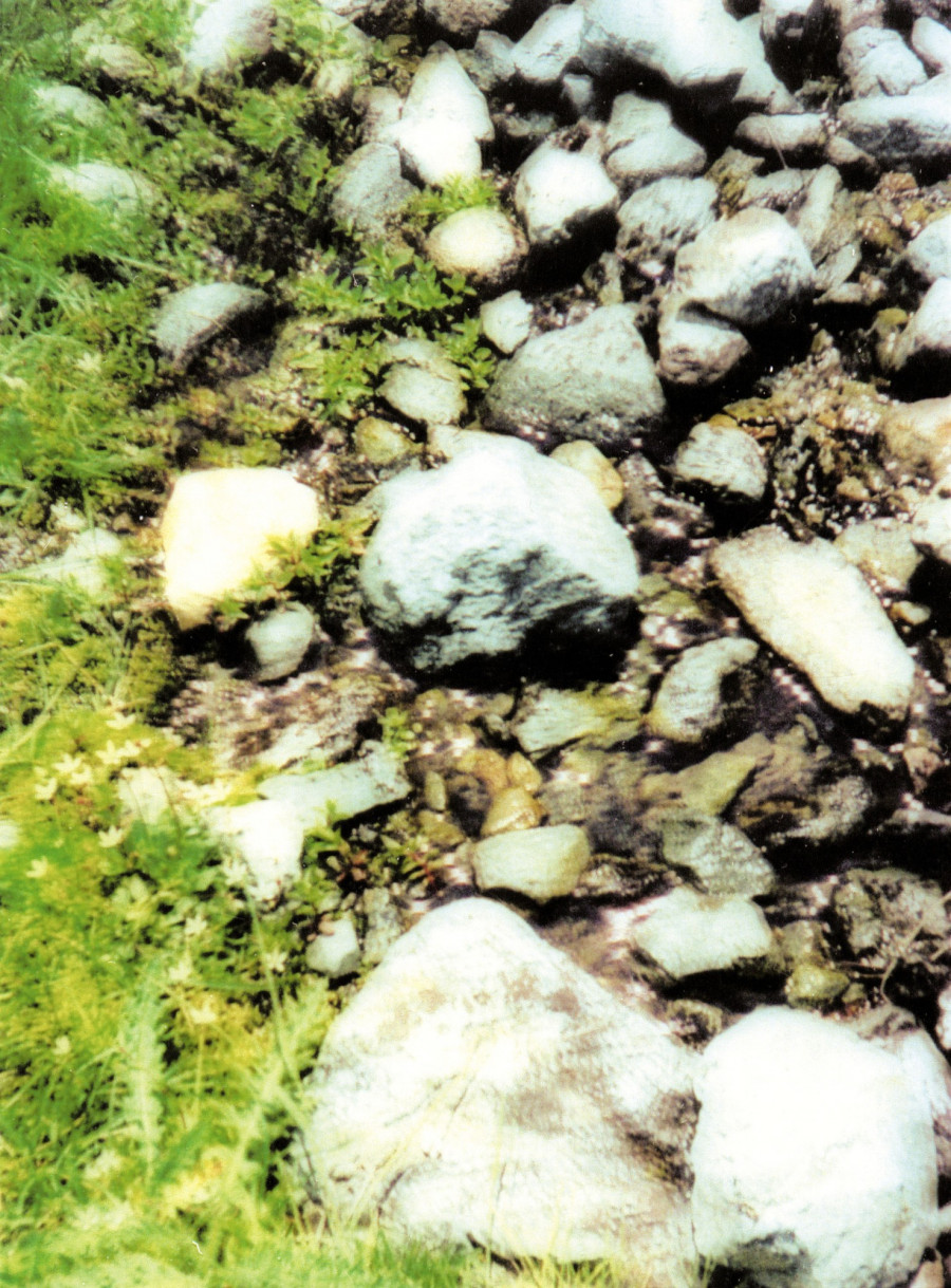 Philippe Durand - Sources