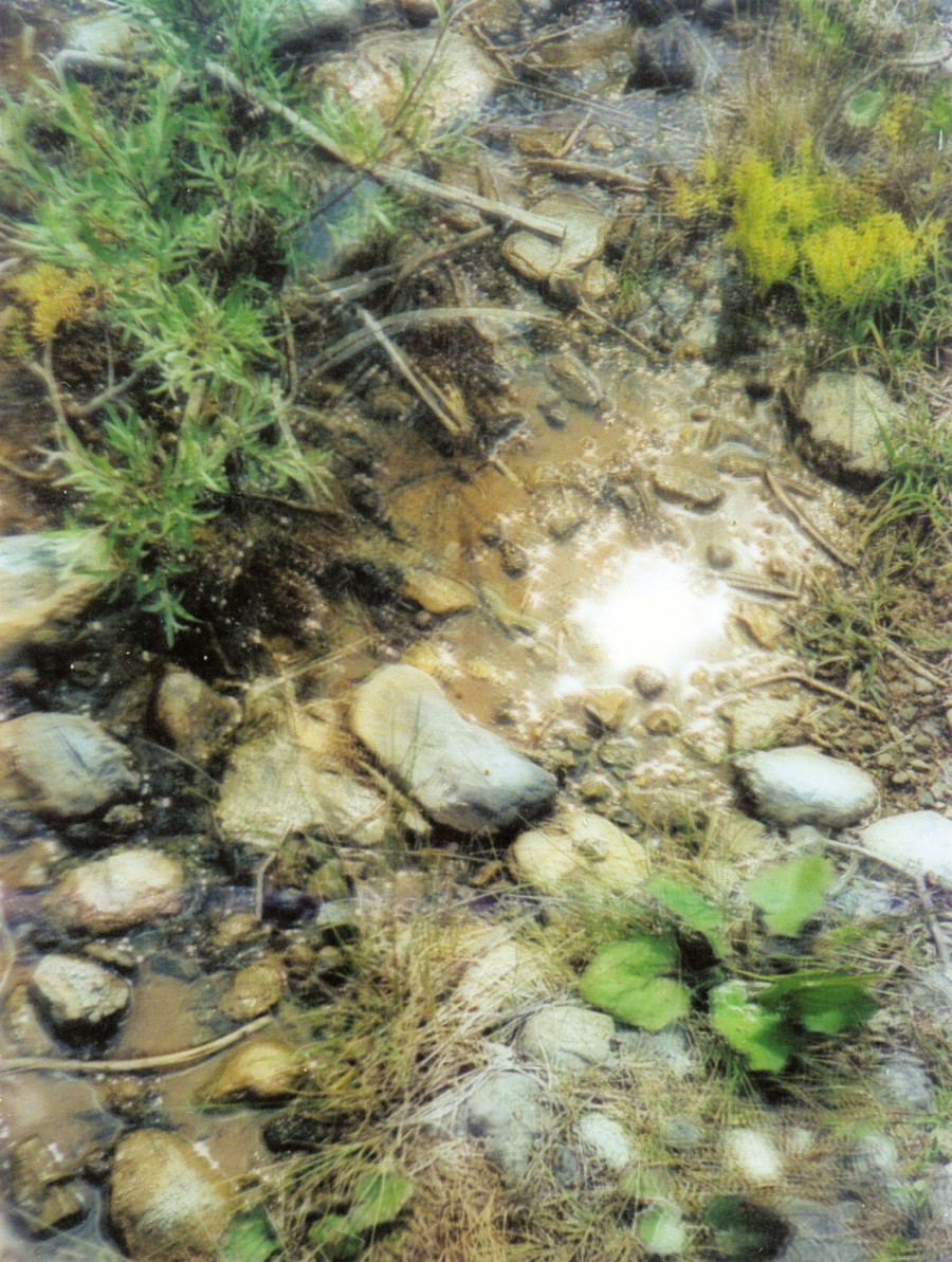 Philippe Durand - Sources