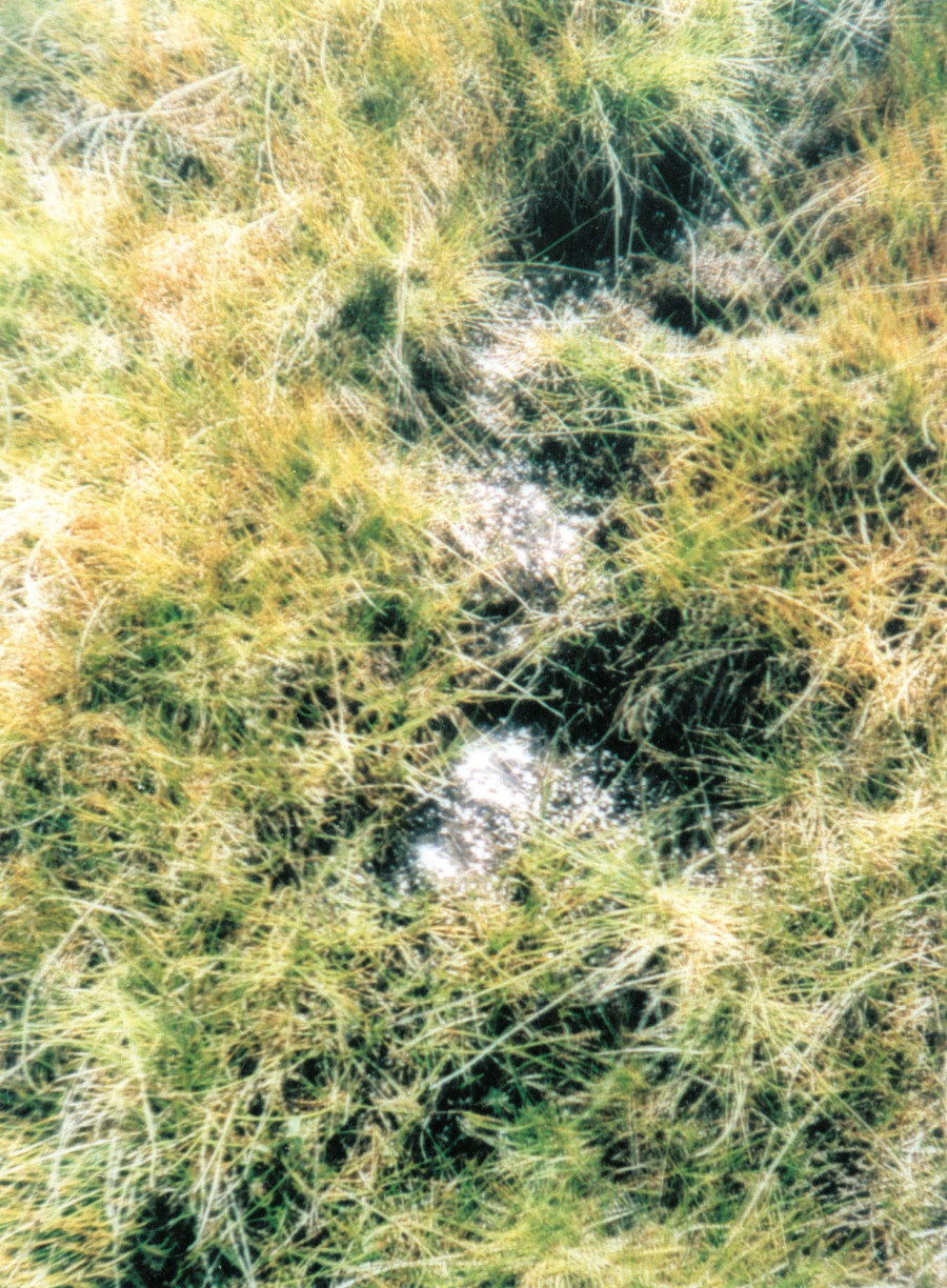 Philippe Durand - Sources