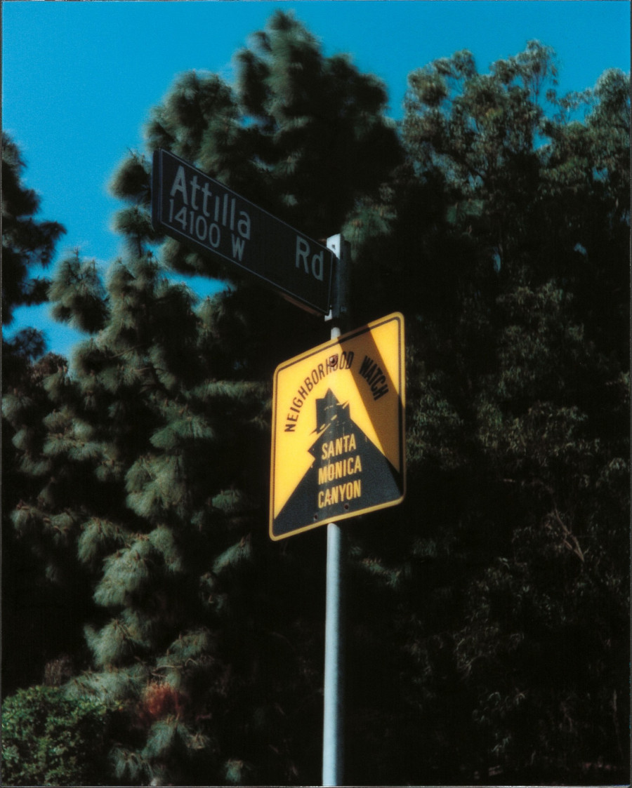 Philippe Durand - Still Life Armed Response