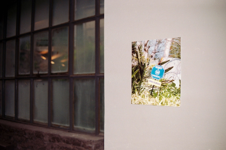 Philippe Durand - Still Life Armed Response