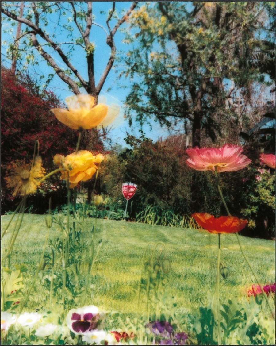 Philippe Durand - Still Life Armed Response